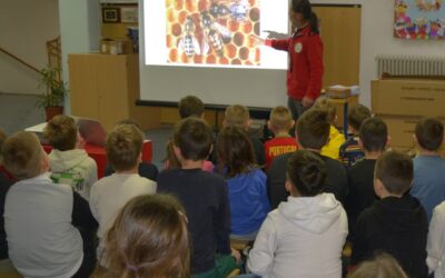 Predavanje o pčelama